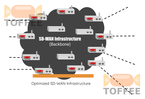 TOFFEE-DataCenter WAN Optimization within SD-WAN Infrastructure